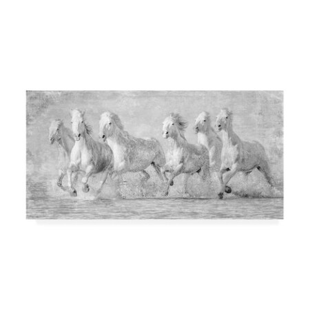 PHBurchett 'Water Horses V' Canvas Art,10x19